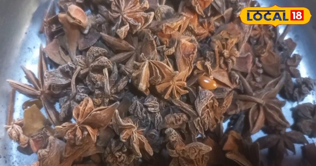 कई जड़ी बूटियों का बाप है ये हिमालयन फूल, इन बीमारियों की कर देता है बत्ती गुल