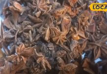 कई जड़ी बूटियों का बाप है ये हिमालयन फूल, इन बीमारियों की कर देता है बत्ती गुल