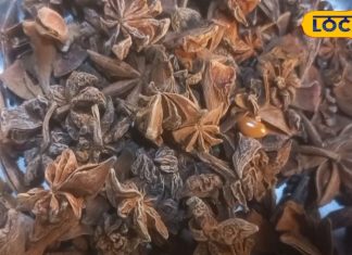 कई जड़ी बूटियों का बाप है ये हिमालयन फूल, इन बीमारियों की कर देता है बत्ती गुल