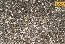 कमाल की है ये आयुर्वेदिक औषधि, हृदय को स्वस्थ और हड्डियों को बनाती है मजबूत