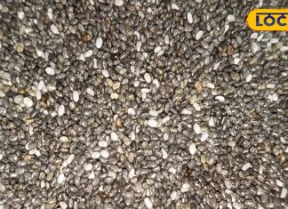 कमाल की है ये आयुर्वेदिक औषधि, हृदय को स्वस्थ और हड्डियों को बनाती है मजबूत