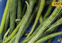 सेहत के लिए संजीवनी से कम नहीं है ये सब्जी, जानें इसके अनगिनत फायदे!