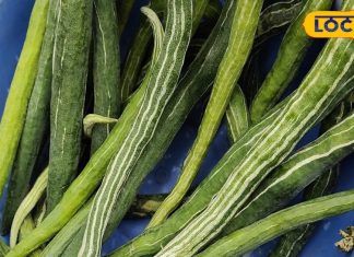 सेहत के लिए संजीवनी से कम नहीं है ये सब्जी, जानें इसके अनगिनत फायदे!