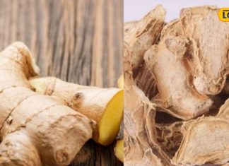 स्वाद ही नहीं सेहत को भी बरकरार रखती है ये सूखी अदरक, सर्दी जुकाम से लेकर मोटापा कम करने में भी सहायक