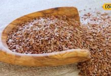 हाई कोलेस्ट्रॉल का बैंड बजा सकते हैं ये बीज, रोजाना सुबह-सुबह ऐसे करें सेवन