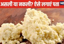 खोया असली है या नकली? 6 आसान ट्रिक्स से चंद मिनटों में घर पर करें मावा की शुद्धता की पहचान