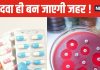 अगले 25 सालों में महामारी बनेगा एंटीबायोटिक रजिस्टेंस ! करीब 4 करोड़ लोग गंवाएंगे जान, नई स्टडी में दावा