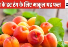 दूर दृष्टि, जवां स्किन, भुजाओं में ताकत और हार्ट को फौलाद बना सकता है यह चटक पीला फल, सेहत के कई रंग का है हमदर्द