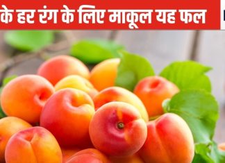 दूर दृष्टि, जवां स्किन, भुजाओं में ताकत और हार्ट को फौलाद बना सकता है यह चटक पीला फल, सेहत के कई रंग का है हमदर्द