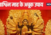 विवाह में आ रही है अड़चन?, व्यापार में नहीं हो रहा मुनाफा?, जानें अश्विन माह में कौन से उपाय से मिलेगा लाभ