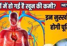 खून की कमी से कमजोरी ने शरीर को दिया है तोड़, अनार-चुकंदर नहीं, इन 2 फलों से नसों में उफान मारने लगेगा ब्लड