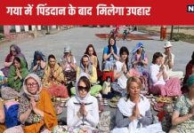 Gaya News : गया में इस साल पिंडदान के बाद तीर्थ यात्रियों को फ्री में मिलेगी ये खास चीज, खुश हो जाएगा मन – free gangajal water bottles to be given pilgrim after Pind Daan in Gaya bihar in Pitru Paksha 2024 reason will surprise you