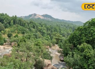 भोपाल का फेमस भोजताल टूरिस्ट प्वॉइंट, यहां देखें प्रकृति का सुनहरा नजारा