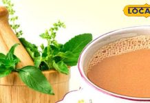 चाय में तुलसी के पत्ते डालना सही या गलत? एक्सपर्ट से जानें सारे सवालों के जवाब Is it right or wrong to put basil leaves in tea? Know the benefits from experts