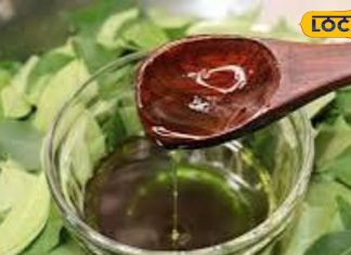 ये है दुनिया का सबसे मीठा तेल, कई मर्ज की एक दवा, दांतों के लिए तो रामबाण! जानें फायदे