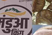 अब फास्ट फूड बना हेल्दी फूड, यहां मडुवे से बन रहे हैं चाउमीन-मोमो समेत सब, कमाल का स्वाद