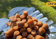 शुगर पेशेंट के लिए ये मिठाई वरदान! पाचन की समस्या खत्म करने में कारगर