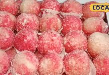 इन रंगीन लड्डुओं को देखते ही मुंह में आएगा पानी, उंगलियां चाटते रह जाएंगे आप