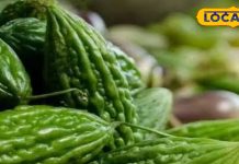 मधुमेह के लिए रामबाण है यह सब्जी, कई औषधीय गुणों से भी भरपूर, जानें एक्सपर्ट सलाह