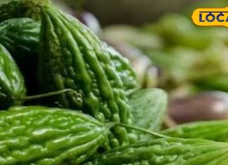 मधुमेह के लिए रामबाण है यह सब्जी, कई औषधीय गुणों से भी भरपूर, जानें एक्सपर्ट सलाह