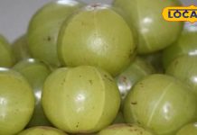 इस कड़वे फल में छुपा है घने-काले बालों का राज, झड़ते बालों में भी कारगर
