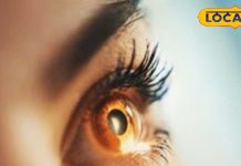 मृत्यु के कितने घंटे बाद तक कर सकते हैं नेत्रदान? जानें आंखों पर क्यों रखी जाती है गीली पट्टी