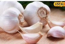 लहसुन और पानी पीने से ब्लड प्रेशर कंट्रोल होता है या नहीं? आयुर्वेद एक्सपर्ट से जानें सच्चाई