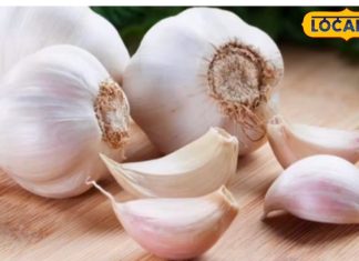 लहसुन और पानी पीने से ब्लड प्रेशर कंट्रोल होता है या नहीं? आयुर्वेद एक्सपर्ट से जानें सच्चाई