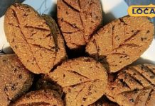 तीज के अवसर पर मीठा खाने की हो रही है क्रेविंग? झटपट घर पर बनाएं छत्तीसगढ़ का ये पारंपरिक व्यंजन