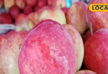 सेब को छीलकर खाएं या बिना छीले? क्या सच में इससे होती हैं 36 बीमारियां दूर? एक्सपर्ट से जानें सब