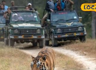 यूपी में यहां बनाएं घूमने का है प्लान, यहां 5 टूरिस्ट स्पॉट पर कम बजट में कर सकते हैं मस्ती