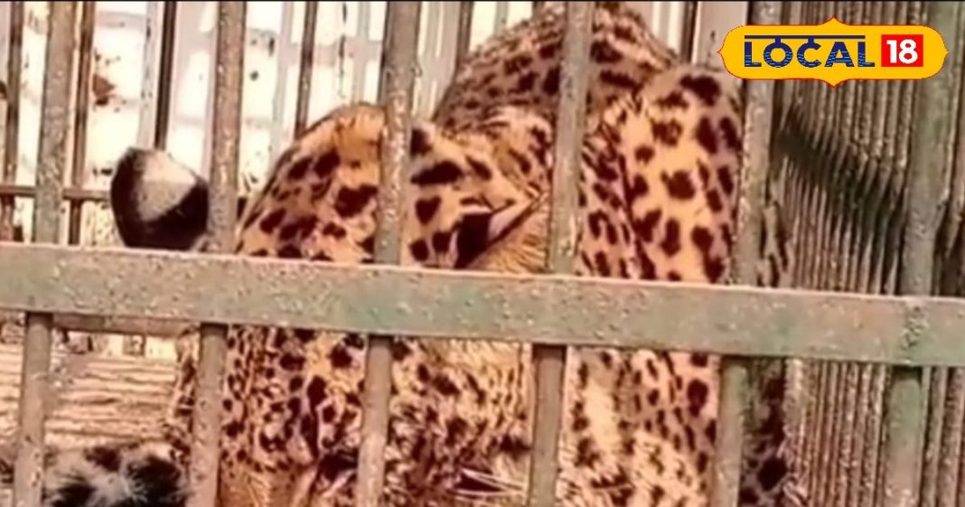 यूपी के आखिरी जिले का पर्यटन स्थल में रहा जलवा, यहां है दुनिया का सबसे बड़ा पार्क