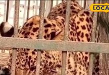 यूपी के आखिरी जिले का पर्यटन स्थल में रहा जलवा, यहां है दुनिया का सबसे बड़ा पार्क