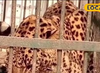 यूपी के आखिरी जिले का पर्यटन स्थल में रहा जलवा, यहां है दुनिया का सबसे बड़ा पार्क