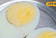 अंडे के पीले भाग में छिपा है सेहत का खजाना,सच्चाई जान आज से शुरू कर देंगे खाना