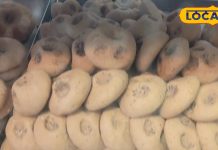 मिथिलांचल में मशहूर है यह खास पेड़ा, घर पर ऐसे कर सकते हैं तैयार, यहां जानें विधि-This special Peda is famous in Mithilanchal, you can prepare it at home like this, know the method here