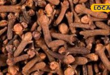 आयुर्वेद का रामबाण मसाला, ओरल हेल्थ से लेकर हड्डियों की बीमारियों में फायदेमंद, एक्सपर्ट से जानें गुण