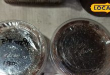 धनिया-पुदीना नहीं, इस फल से बनाएं चटनी, बच्चों को बना देगी ताकतवर, स्वाद में भी लाजवाब