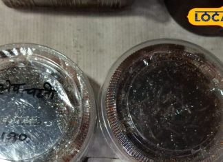 धनिया-पुदीना नहीं, इस फल से बनाएं चटनी, बच्चों को बना देगी ताकतवर, स्वाद में भी लाजवाब