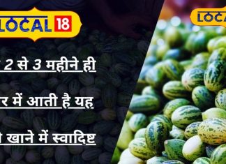 बरसात में सिर्फ 2 महीने मिलती है ये अनोखी सब्जी, लिवर व किडनी के लिए भी रामबाण