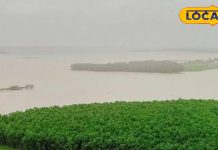 रांची में यहां छुपा है खूबसूरत टापू, मात्र 200 रूपए में देखें स्वर्ग सा नजारा