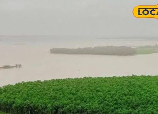 रांची में यहां छुपा है खूबसूरत टापू, मात्र 200 रूपए में देखें स्वर्ग सा नजारा