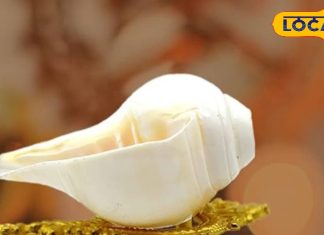 शंख बजाने से दूर होती हैं सांस संबंधित बीमारियां, एक्सपर्ट से जानिए इसे बजाने का सही तरीका