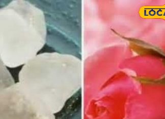 चेहरे पर हैं दाग धब्बे और झाइयां, तो अपनाएं यह घरेलू उपाय, चमक उठेगी त्वचा, लौट आएगा निखार