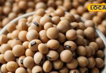 100 ग्राम डाइट ट्रिक! वजन कंट्रोल में और हर्ट अटैक का खतरा कम, शाकाहारी के लिए विशेष लाभकारी