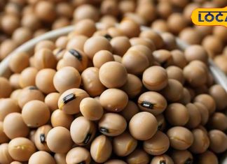 100 ग्राम डाइट ट्रिक! वजन कंट्रोल में और हर्ट अटैक का खतरा कम, शाकाहारी के लिए विशेष लाभकारी