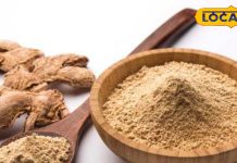 सर्दी, जुकाम से लेकर गैस एसिडिटी के लिए रामबाण है सोंठ, एक्सपर्ट से जानें कब कैसे करें इस्तेमाल