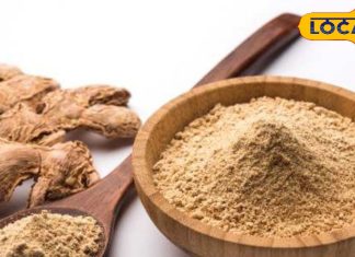 सर्दी, जुकाम से लेकर गैस एसिडिटी के लिए रामबाण है सोंठ, एक्सपर्ट से जानें कब कैसे करें इस्तेमाल