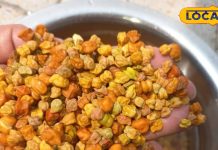 ऐसे बिल्कुल भी ना खाएं चना, शरीर बन जाएगी बीमारियों की हवेली, हेल्थ एक्सपर्ट ने दी चेतावनी