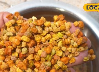 ऐसे बिल्कुल भी ना खाएं चना, शरीर बन जाएगी बीमारियों की हवेली, हेल्थ एक्सपर्ट ने दी चेतावनी